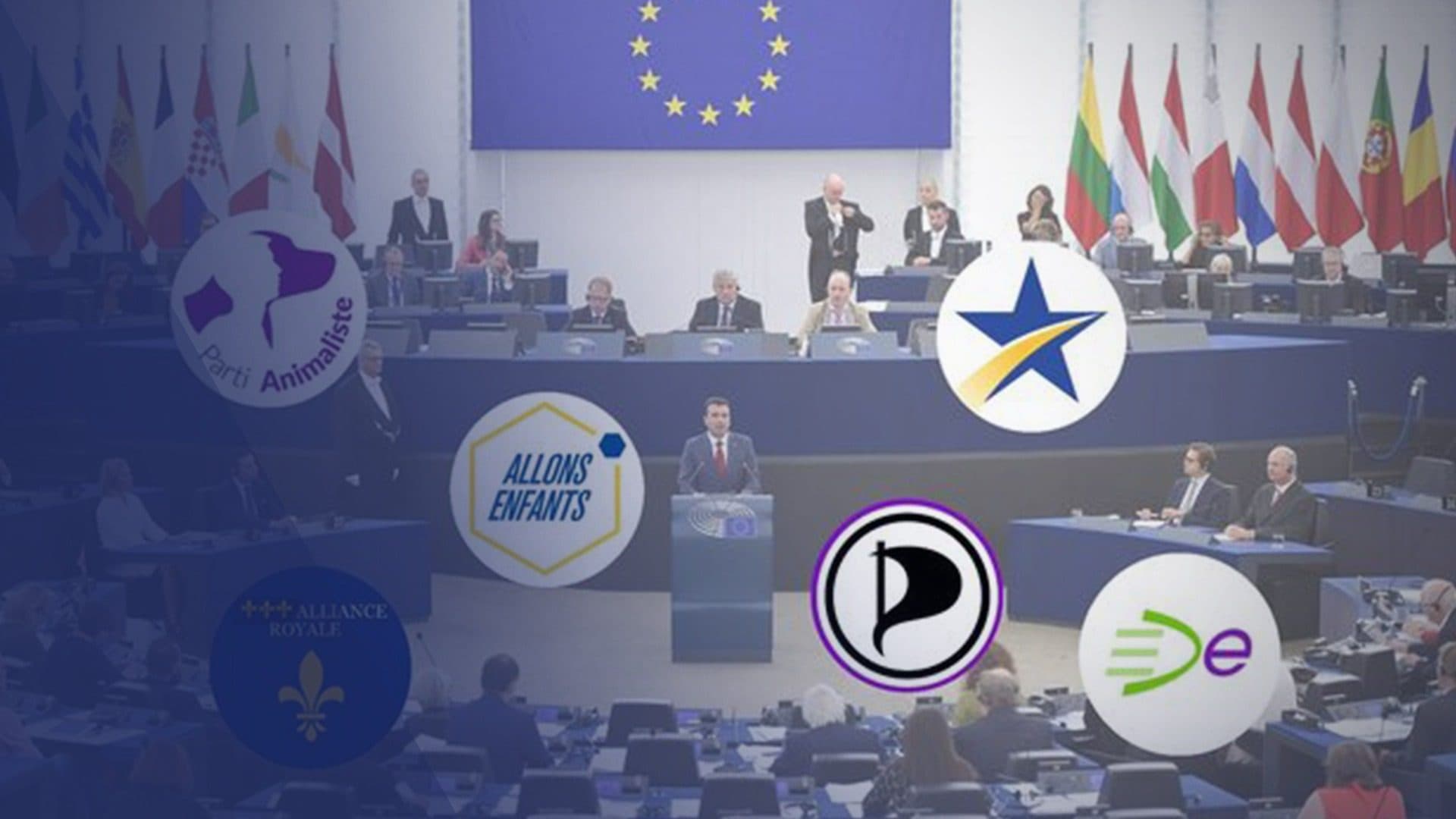 Européennes 2019 : ce qui fait courir les toutes petites listes