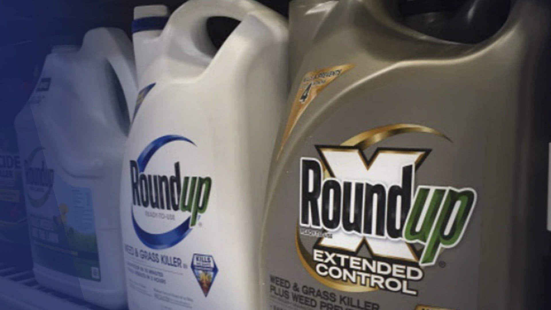 Le glyphosate ne serait pas cancérigène selon un rapport parlementaire…