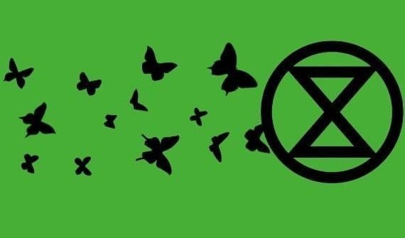 Certains membres d’Extinction Rebellion seraient payés pour leurs actions