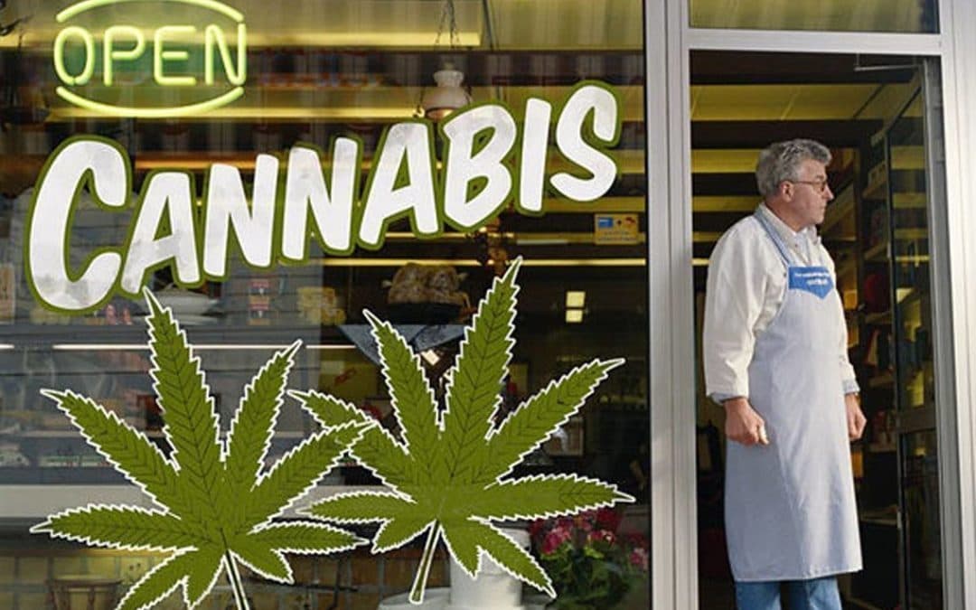 Vers une légalisation du cannabis en France ?