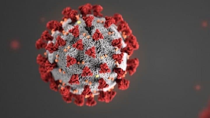 Coronavirus : la gestion critiquée du gouvernement, un député Les Républicains hospitalisé