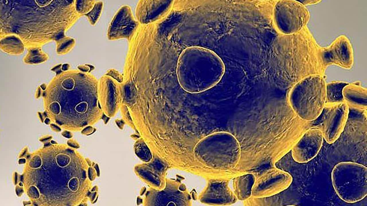 Épidémie de Coronavirus Covid-19 : explications, analyses et conseils – par Les Crises