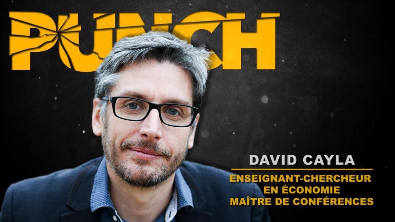 La fin de l'Union européenne ? Entretien avec David CAYLA