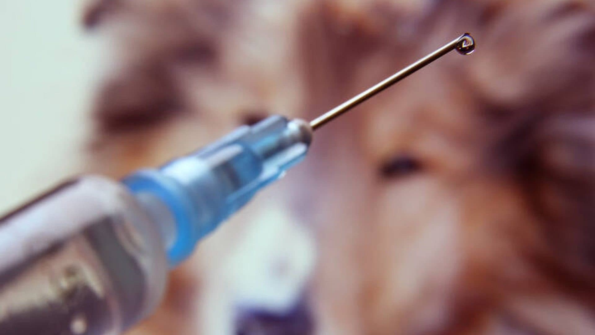 Coronavirus : les médicaments vétérinaires autorisés dans les hôpitaux en cas de pénurie