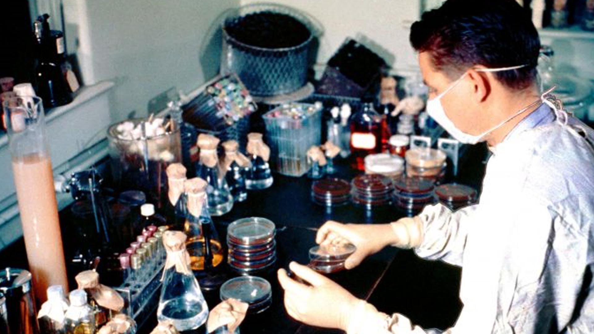 Coronavirus : des mathématiciens ont une solution pour tester efficacement la population