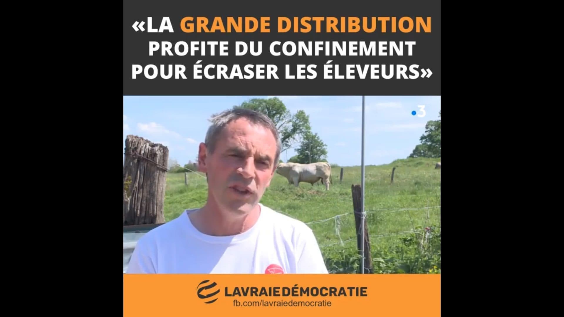 En plein confinement, la grande distribution écrase les éleveurs