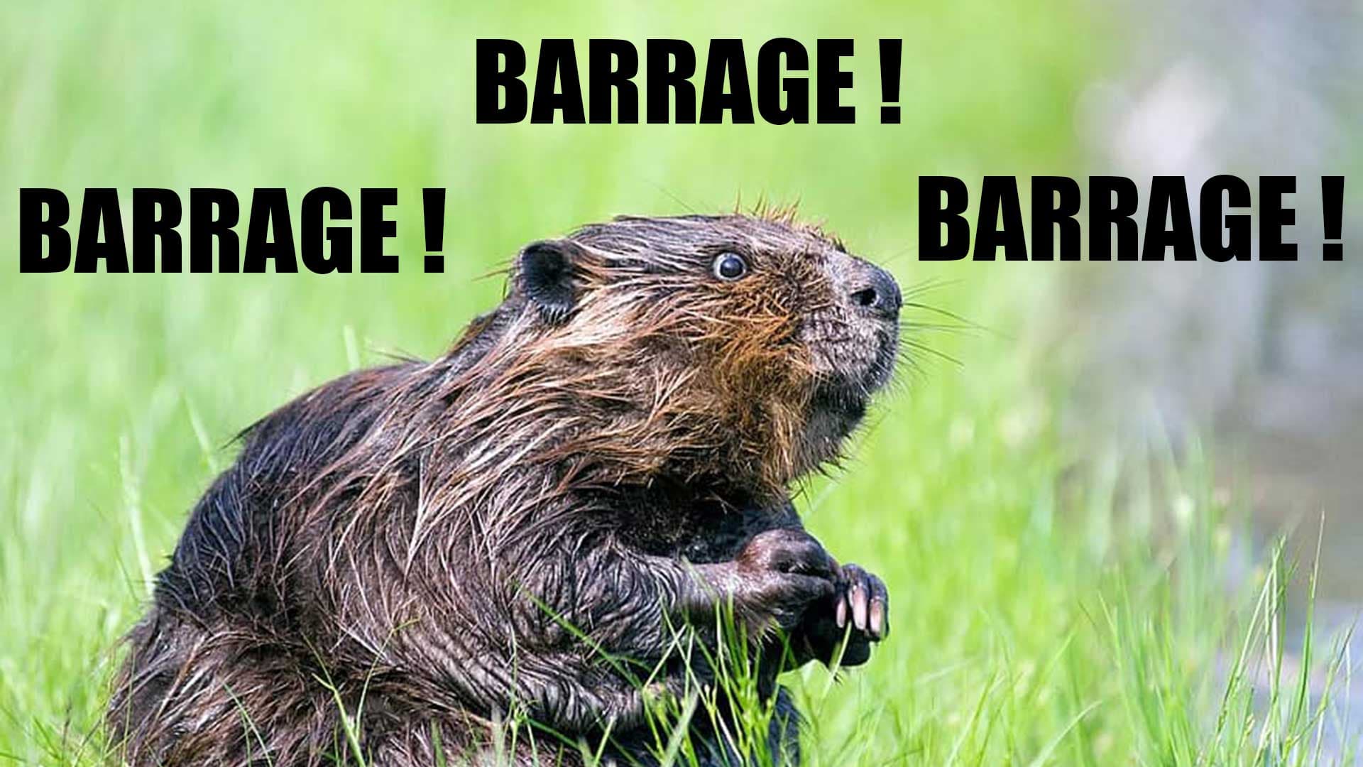 Municipales : quand EELV soutient LR pour éviter le RN… Retour sur la stratégie du barrage