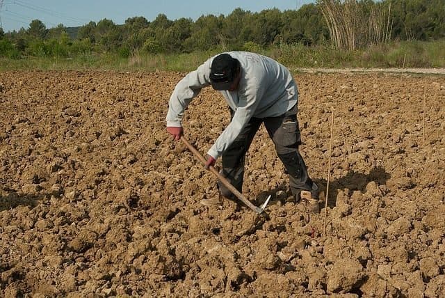 Migrants : six personnes et trois entreprises inculpées pour « traite d’êtres humains » à Reims