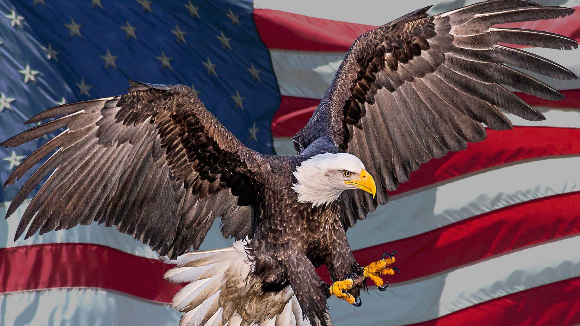 Quand les USA n’essaient même plus de cacher leur impérialisme en Amérique Latine
