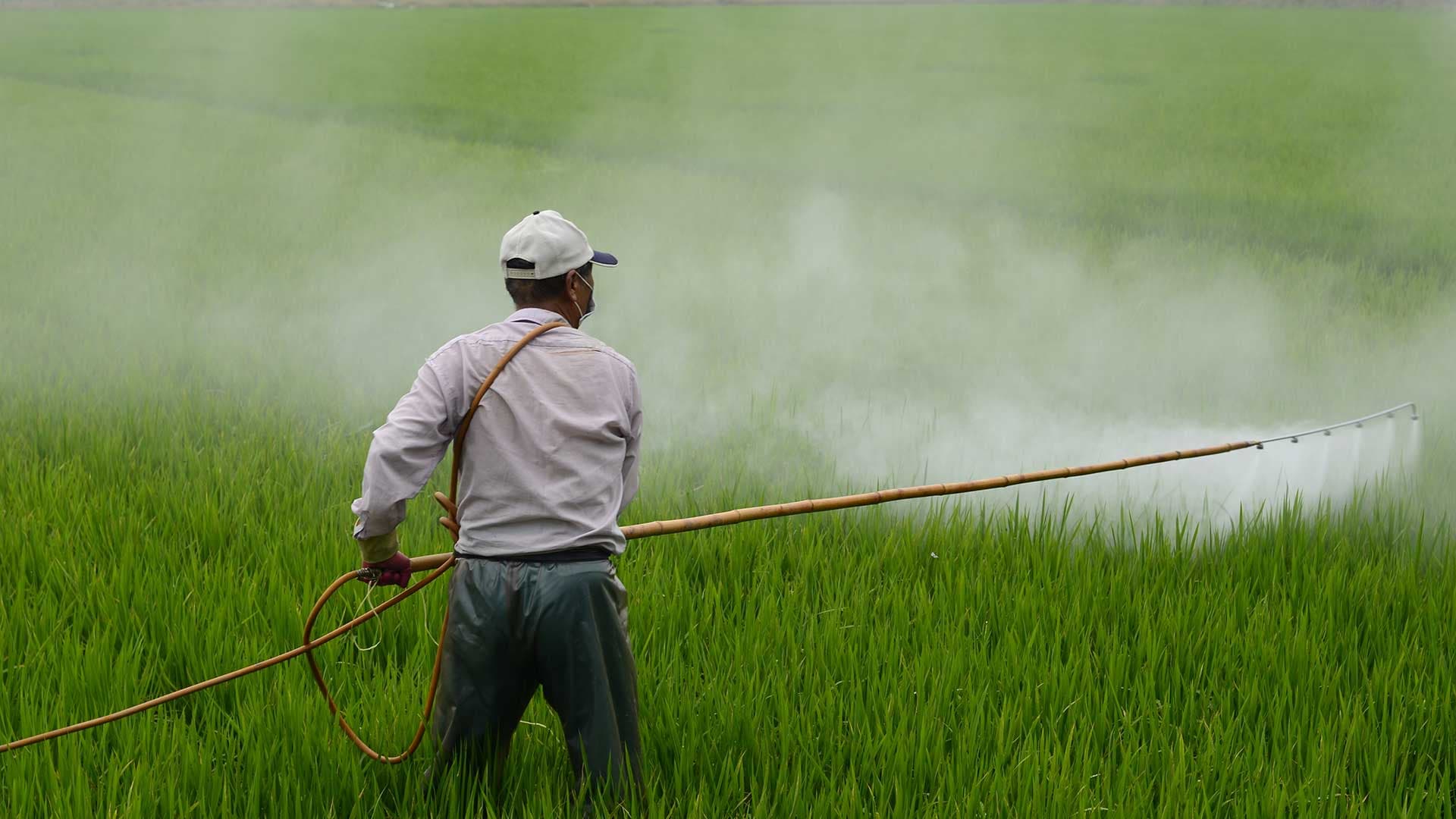 L'UE produit et exporte des pesticides dont elle interdit l'utilisation à ses membres