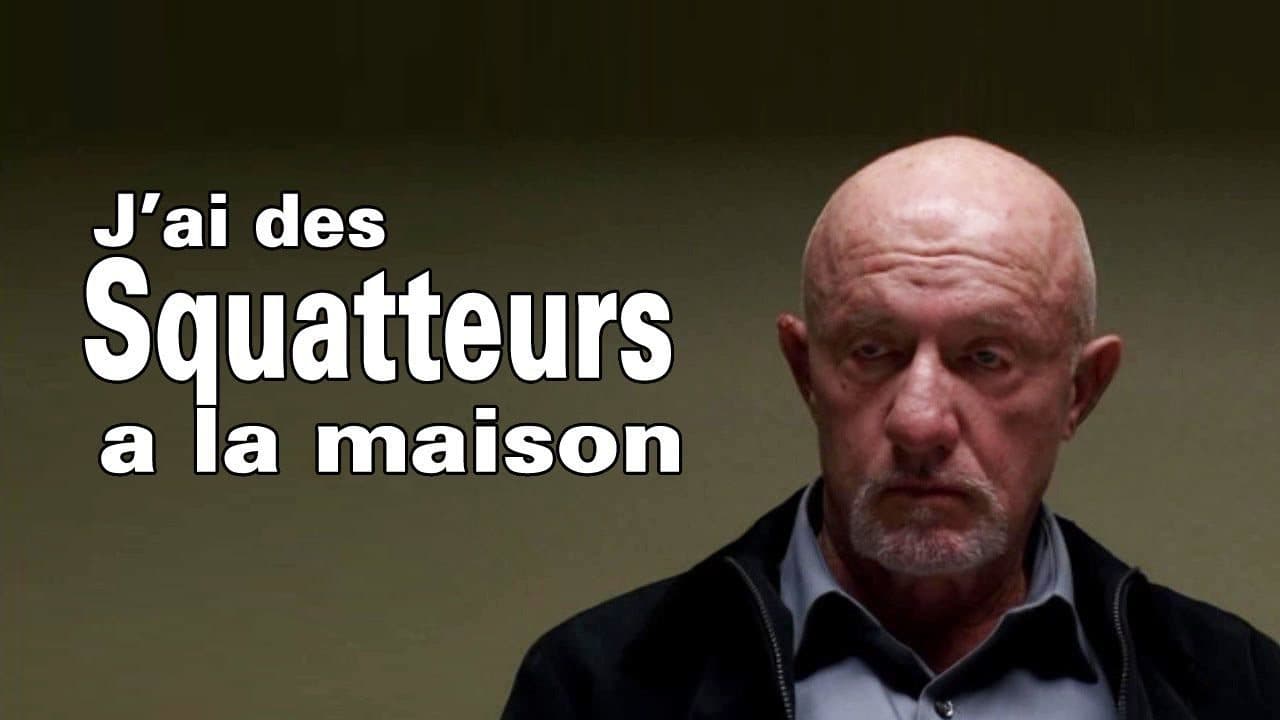J'ai des squatteurs à la maison… – par Mozinor (Parodie)