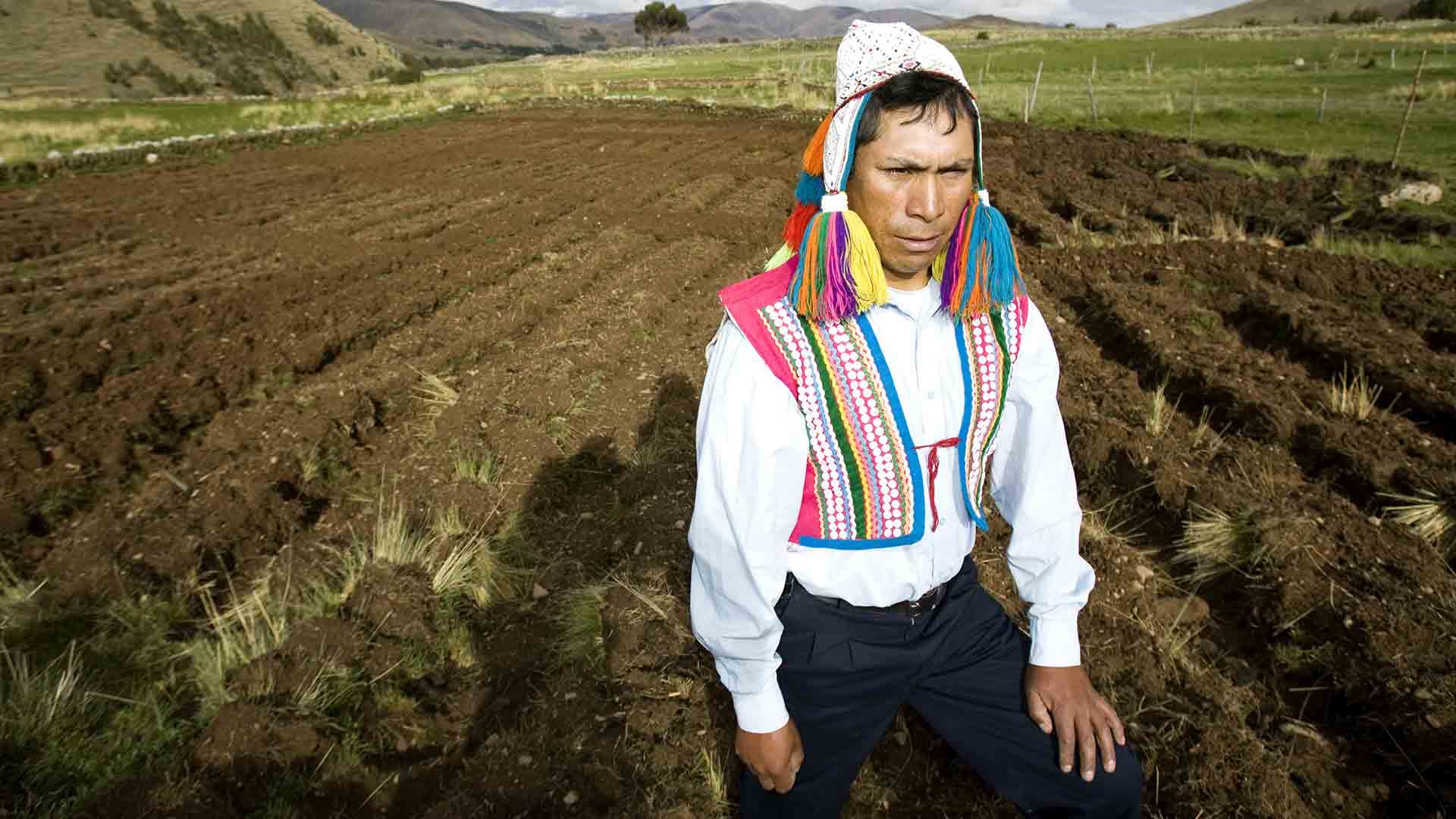 Comment le libre-échange ruine l'environnement et les petits producteurs en Amérique latine [VIDEO]