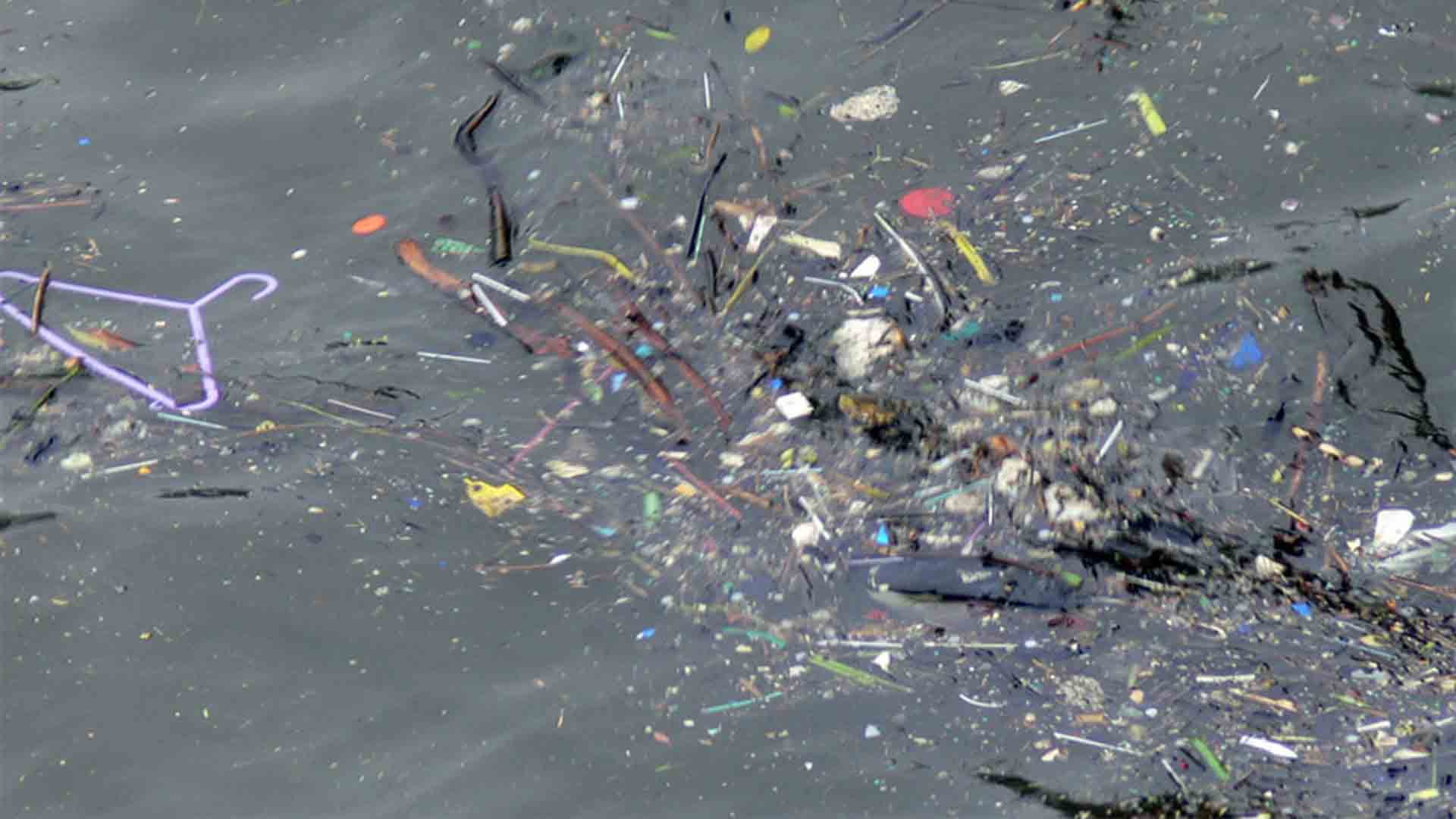 Selon une étude nous ingérons l’équivalent d’une carte bleue par semaine, soit 5 grammes de microplastiques