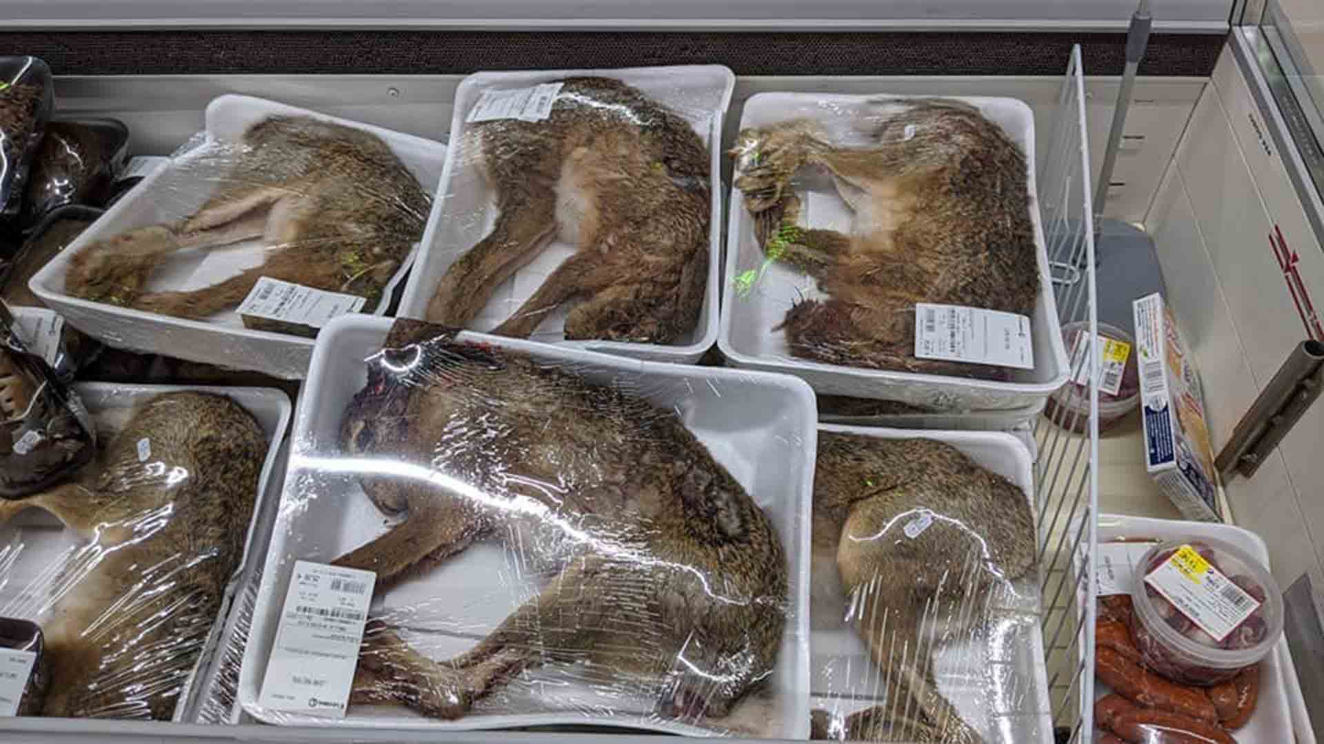 Quand Leclerc vend des cadavres d'animaux directement en barquette…
