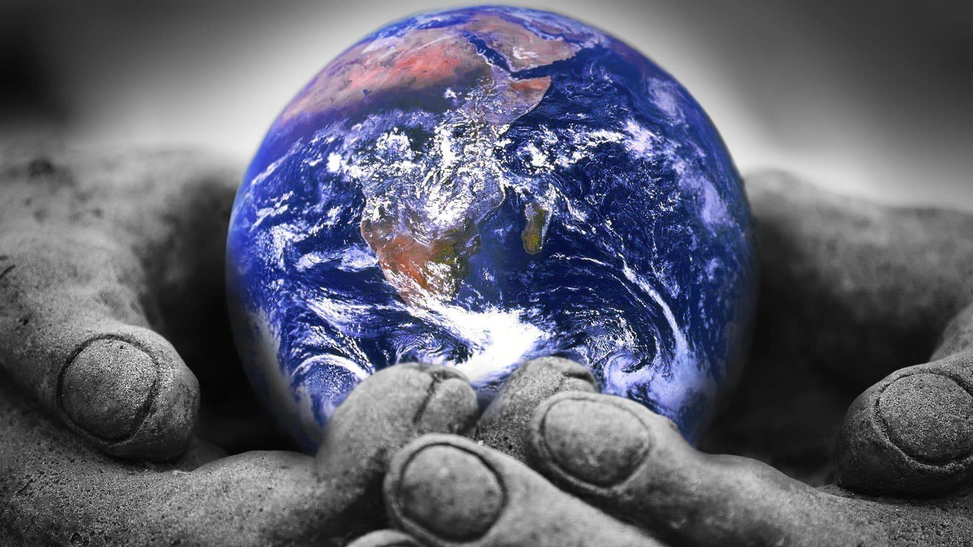 Sans l'Homme, à quoi ressemblerait la vie sur Terre ?