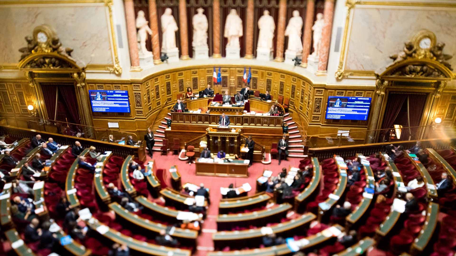 Le Sénat remet la réforme des retraites à l’ordre du jour par un amendement surprise