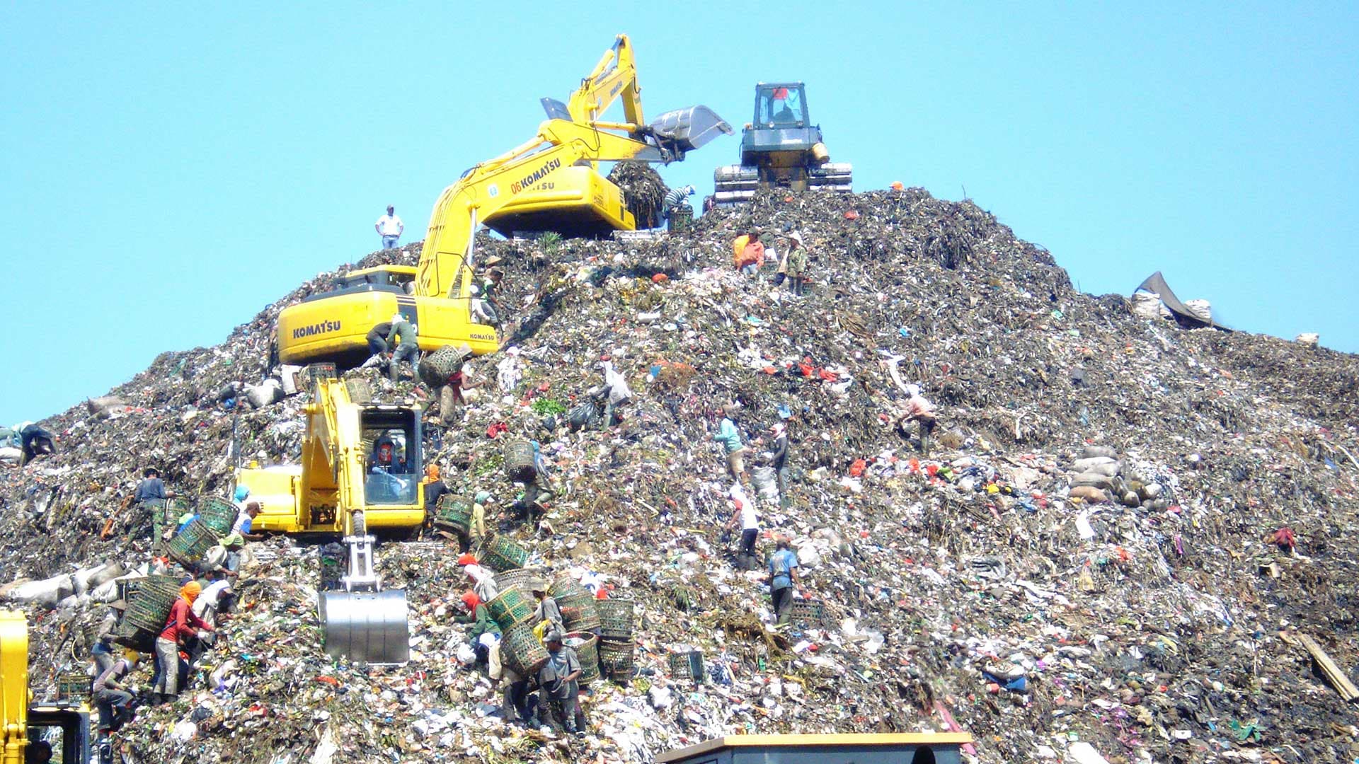 Bâtiments, routes, plastique… Ce que l’humain fabrique pèse désormais plus que tous les êtres vivants