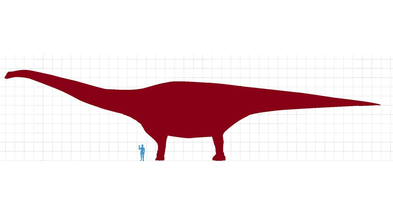 Le plus grand dinosaure jamais découvert a-t-il été mis au jour en Argentine ? [VIDEO]