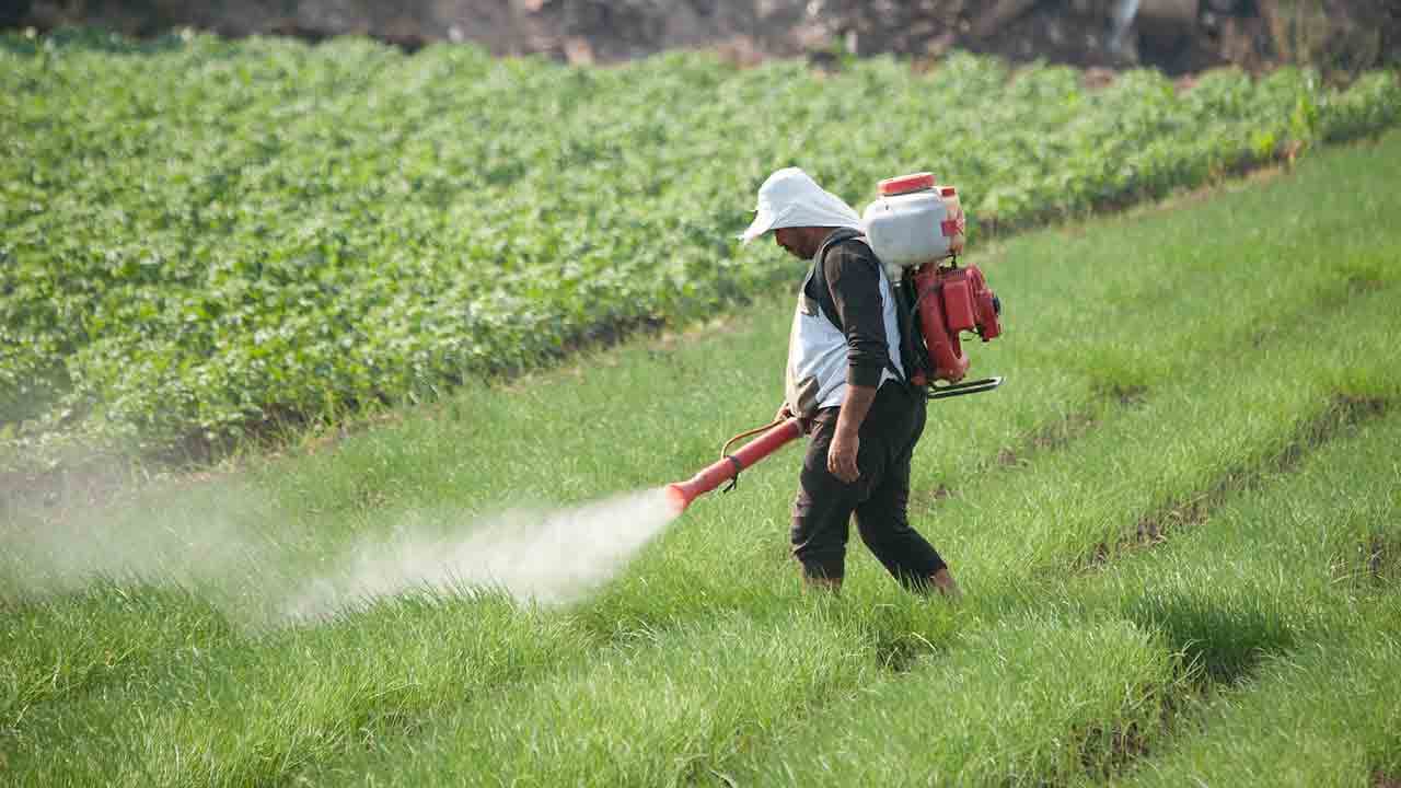 Cancer : le gouvernement ignore les risques liés à l’environnement dans sa stratégie de lutte 2021-2030