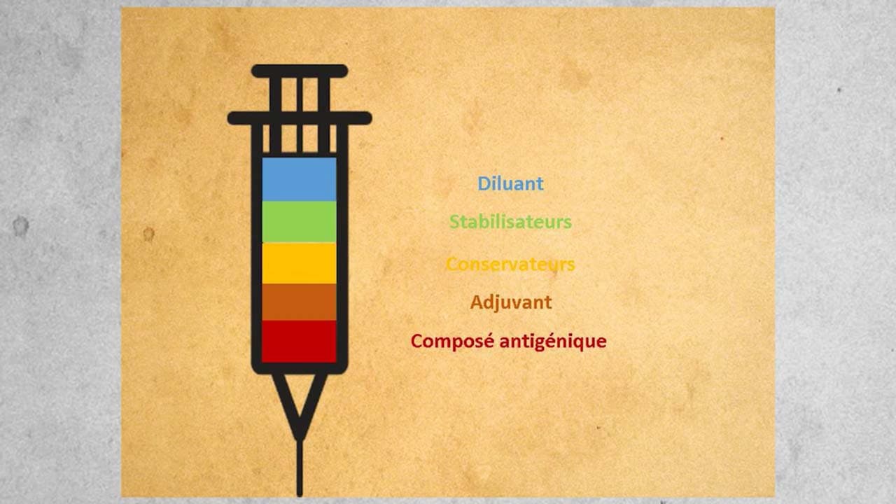 Vaccins: succès de santé publique ou poison?
