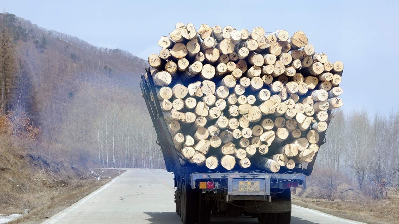 Le bois français part aux États-Unis, le bâtiment français en subit les conséquences