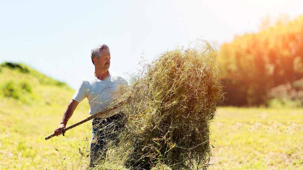« J’adore faire ça, c’est noble de travailler la terre » : ces agriculteurs qui bannissent les pesticides