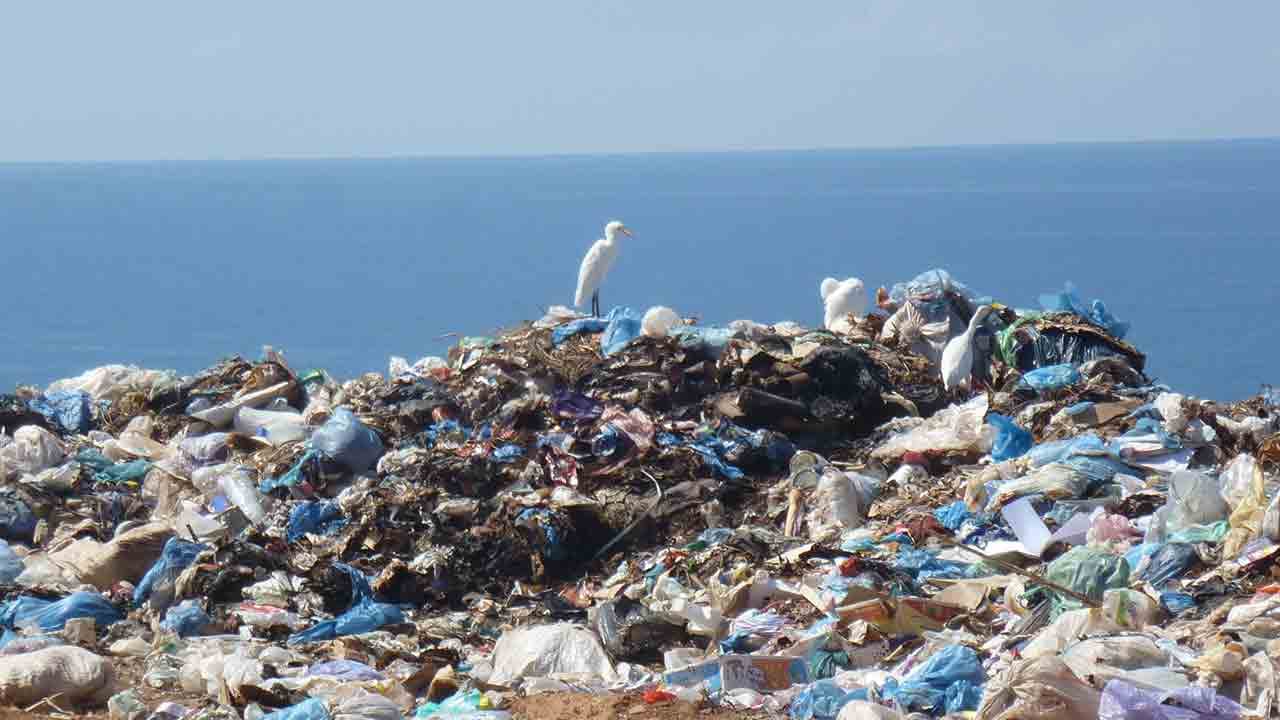 20 entreprises produisent 55 % des déchets plastiques du monde