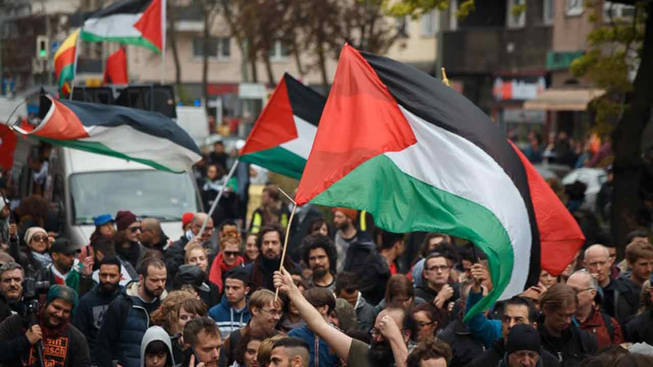 Découvrez votre avis sur le conflit Palestine-Israël selon notre sondage