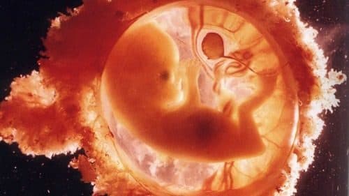 Loi bioéthique : 67% des Français seraient favorables à la PMA pour toutes