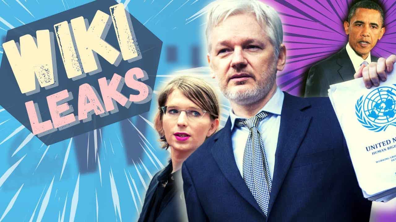 ASSANGE / WIKILEAKS : l'affaire du siècle en 10 minutes !