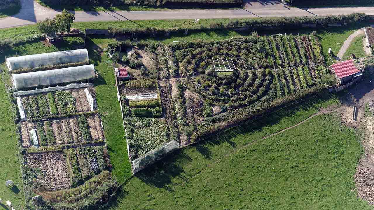 Découvrez votre avis sur le modèle décroissant selon notre sondage