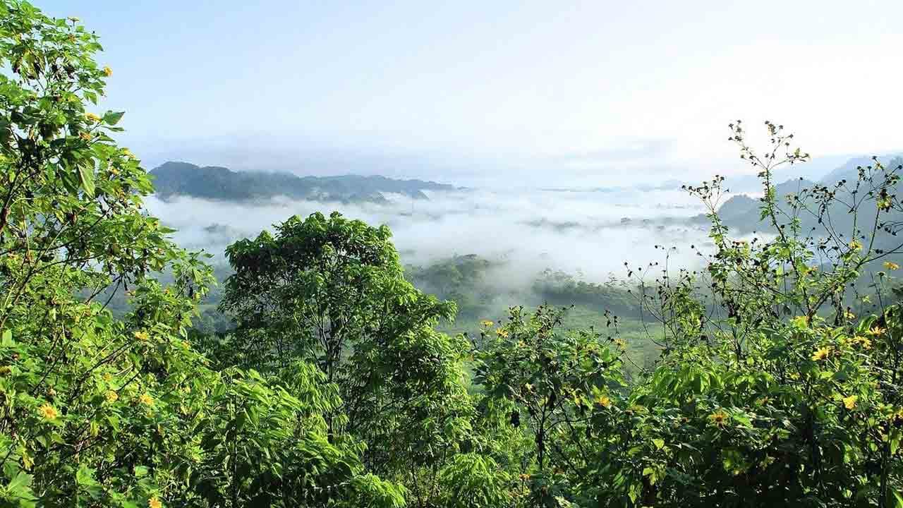 L'Amazonie commence à émettre du CO2 au lieu d'en absorber