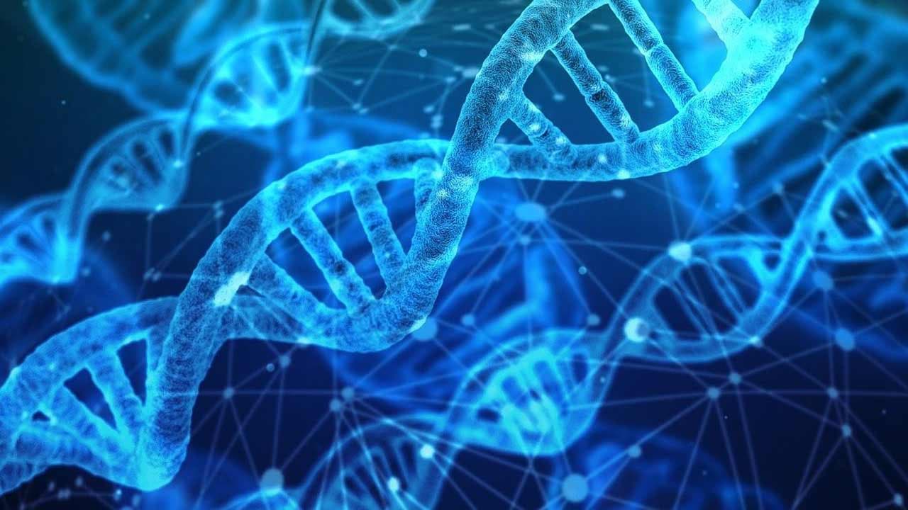 L’ARN, cet incroyable messager, une invention française, un Nobel en 1965