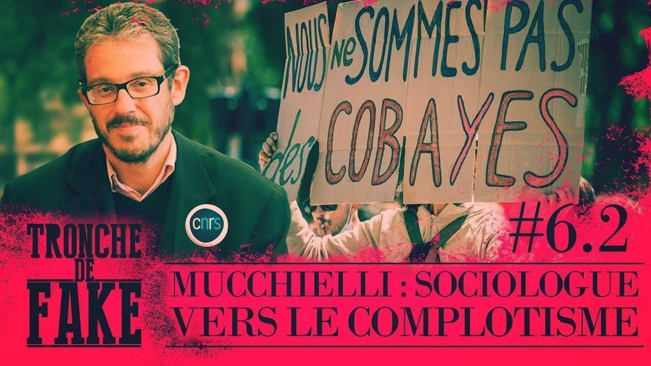 Les grosses approximations de Laurent Mucchielli