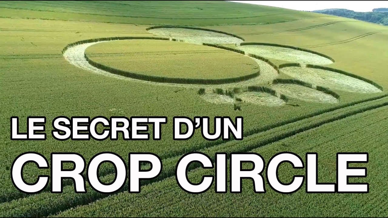 La vérité sur le crop circle de Meuse