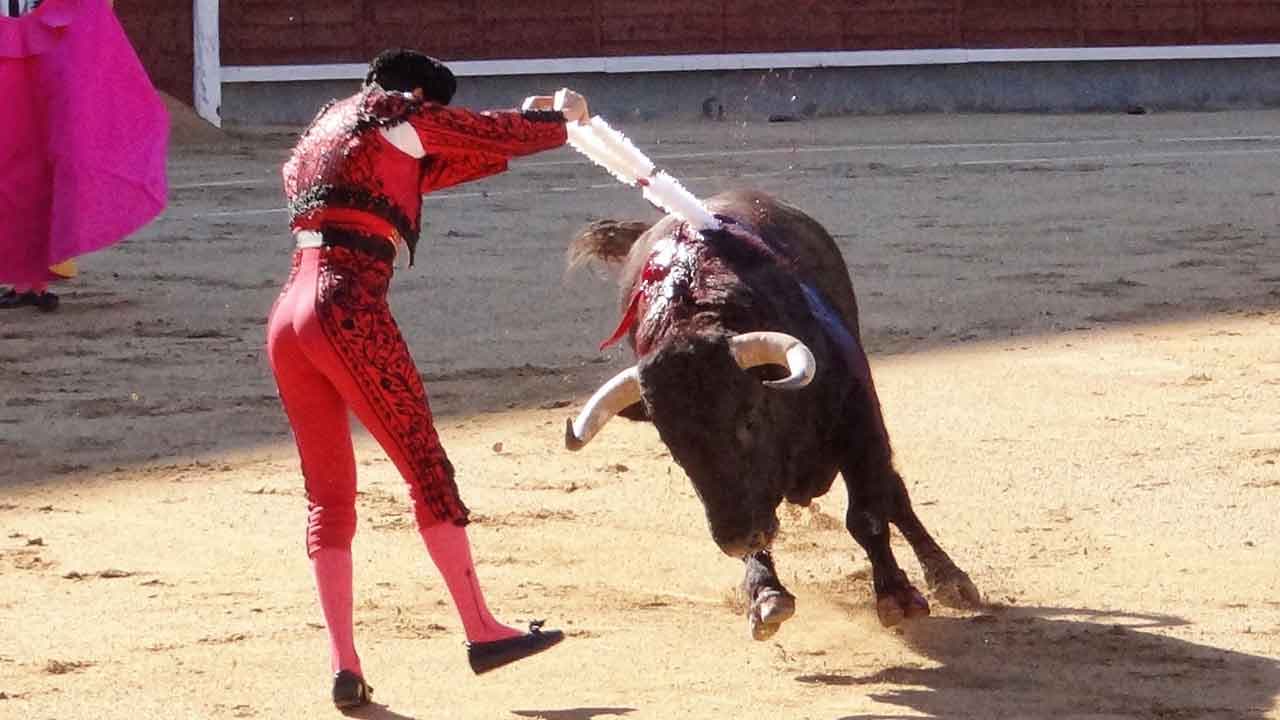 Découvrez votre avis sur la corrida selon notre sondage