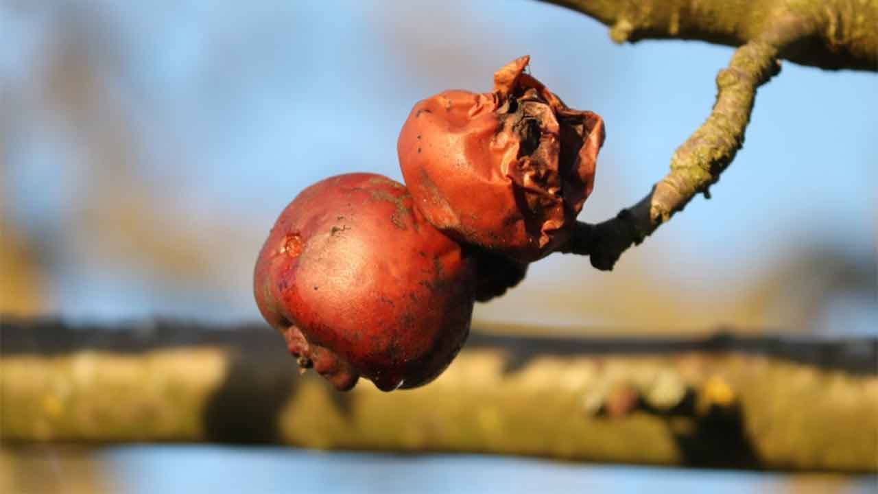 Le gouvernement veut livrer les agriculteurs aux assureurs