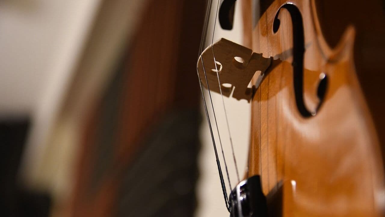 Trop blanche la musique classique sur Radio Classique pour France Culture ?