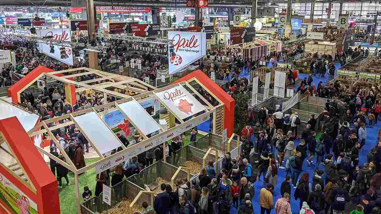Macron fait perdre un demi-million d’euros au Salon de l’agriculture…
