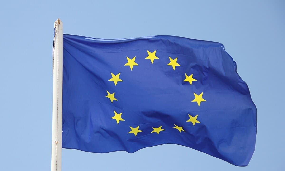 Elections européennes : comment les « petits partis » se débrouillent pour financer leur campagne