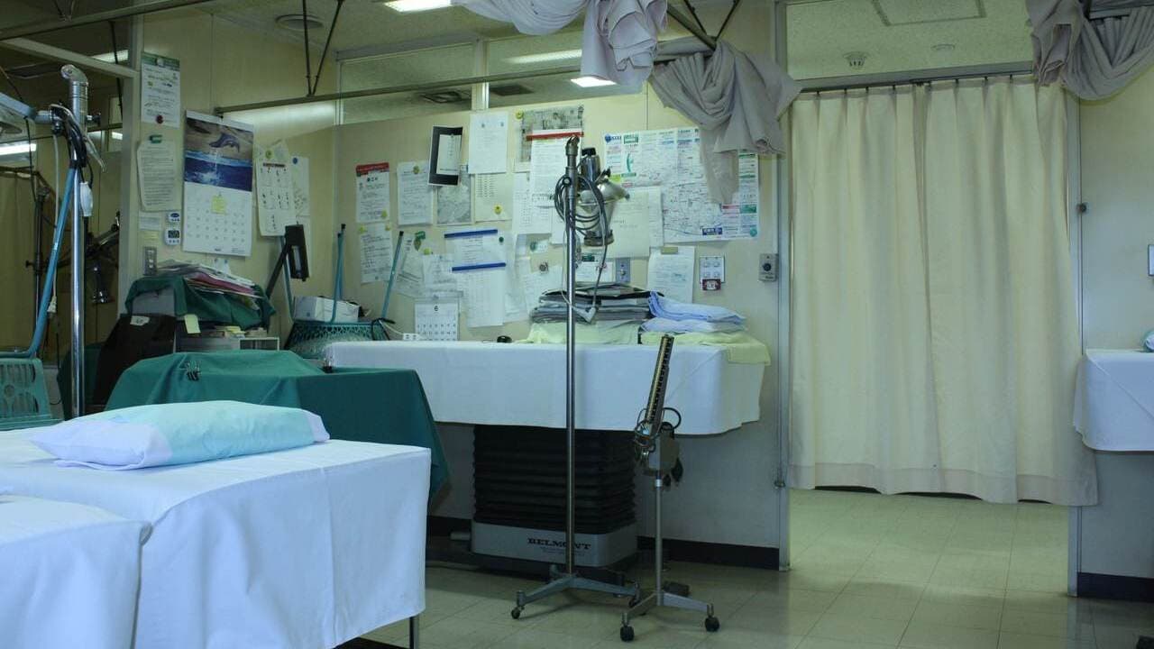 Hôpital : pourquoi le nombre d’internes va-t-il considérablement baisser ?