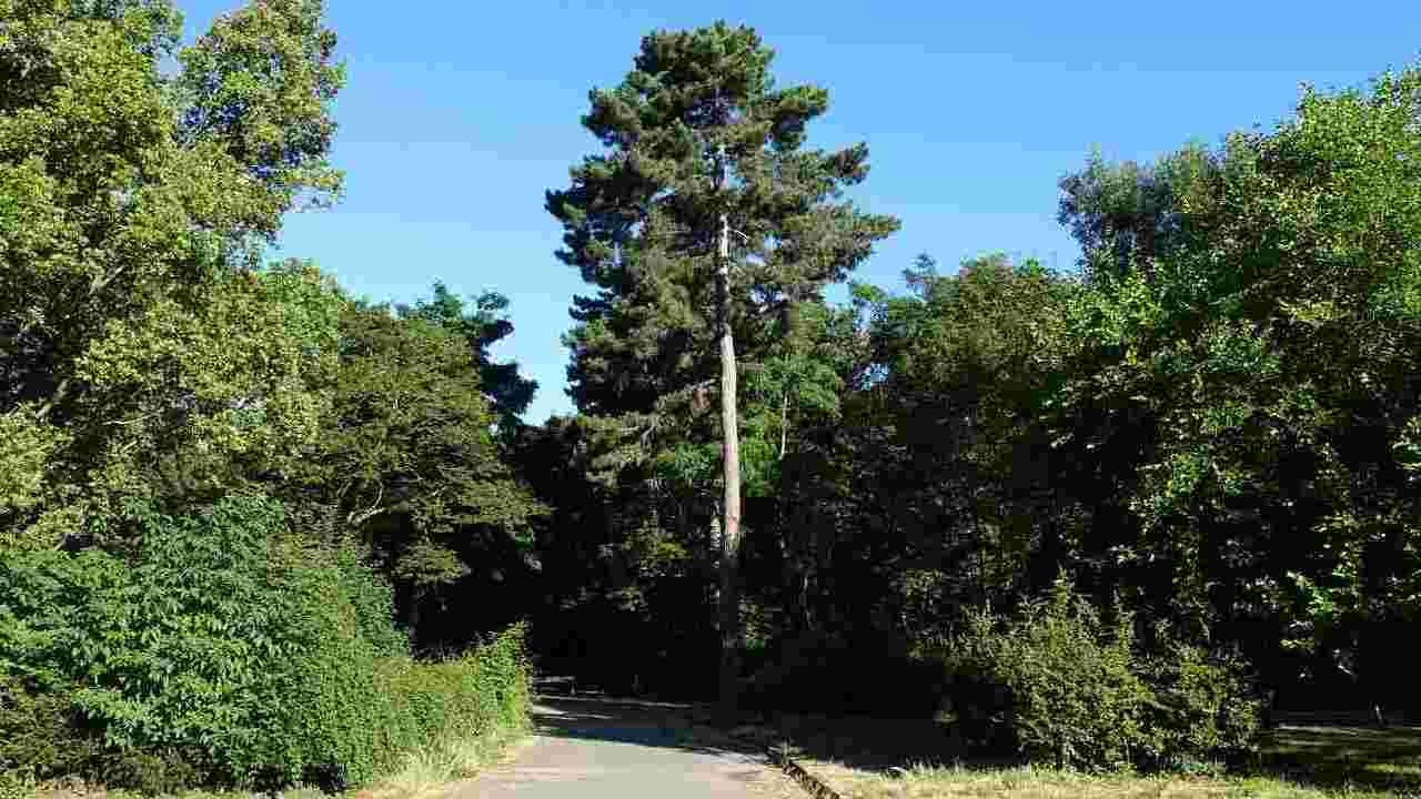 Meurtre de Philippine, retrouvée enterrée au bois de Boulogne : « Elle était bienveillante et pleine de vie »