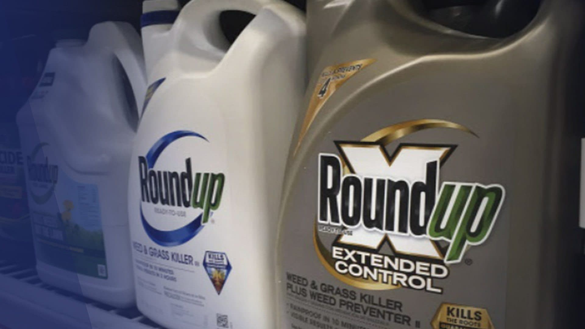 Monsanto a fiché (en secret) des personnalités pour son lobbying