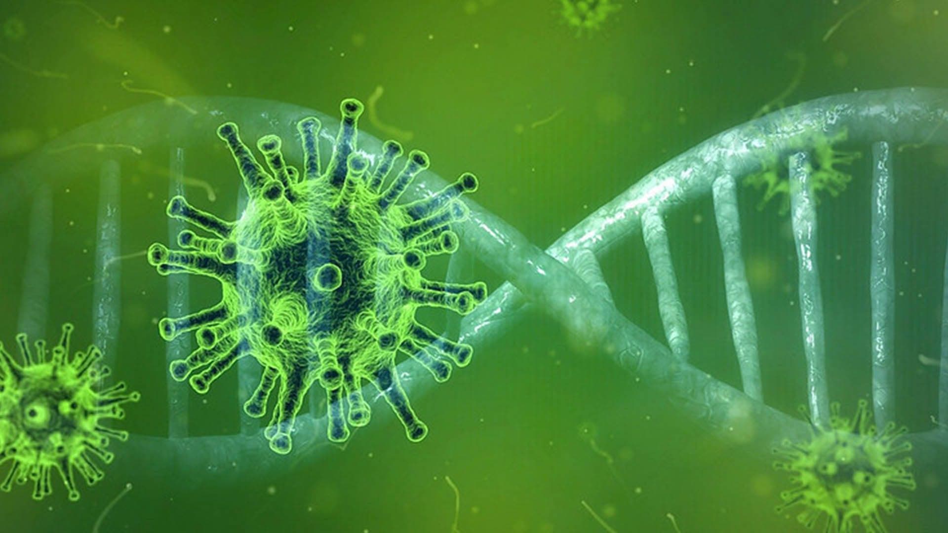 Le Coronavirus n'est pas la cause de la crise financière mais son élément détonateur