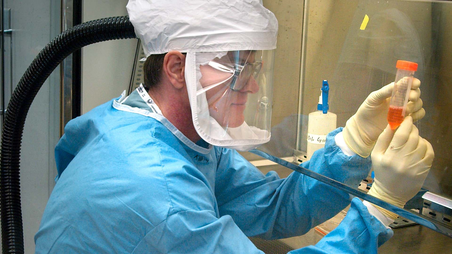 Coronavirus : échappé d'un labo par accident, arme biologique ou virus transmis par un animal ?