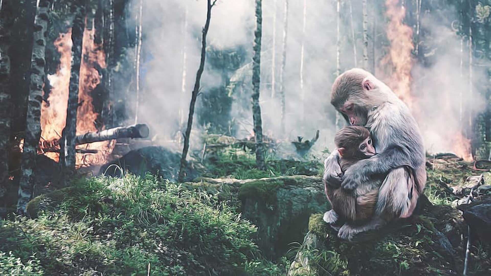 Depuis 1970, 68% des animaux vertébrés ont disparu selon WWF
