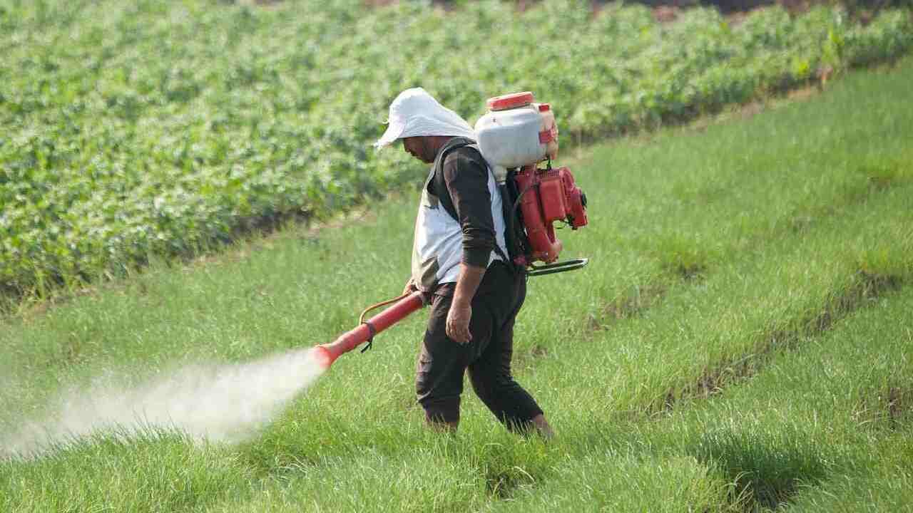 Christophe, arboriculteur menacé de liquidation judiciaire à cause de pesticides qu’il n’a pas utilisés
