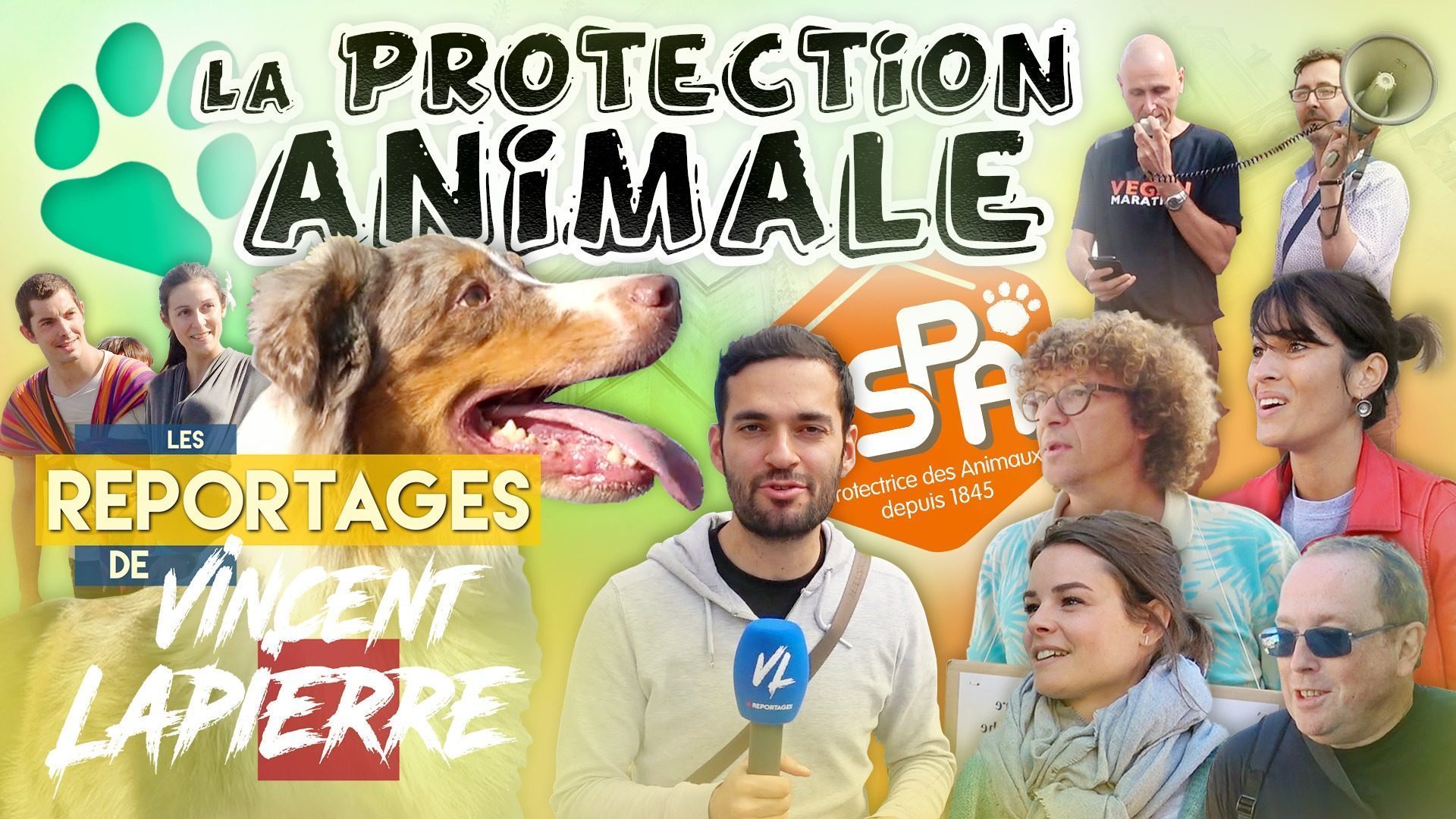 LA PROTECTION ANIMALE – Les Reportages de Vincent Lapierre