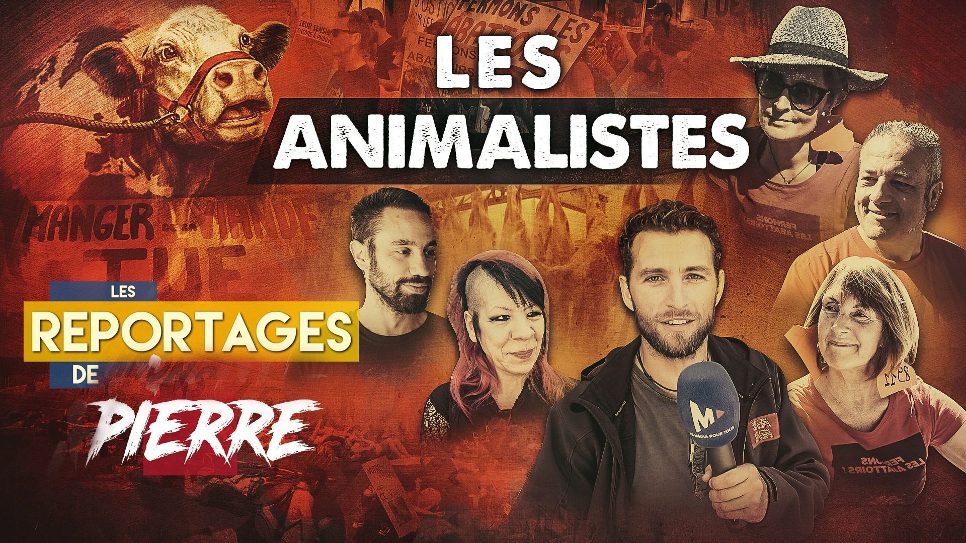 LES ANIMALISTES – Les Reportages de Vincent Lapierre