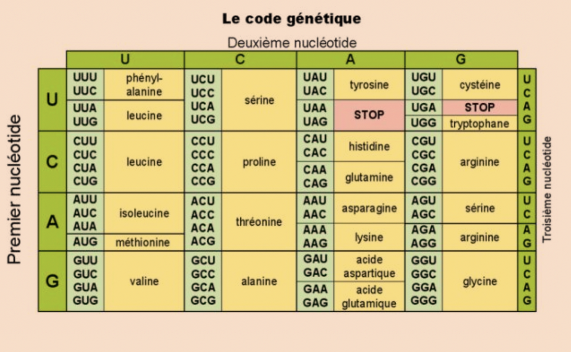 Aix - Marseille - 1ère (Spécialité) - Sciences de la Vie et de la ...